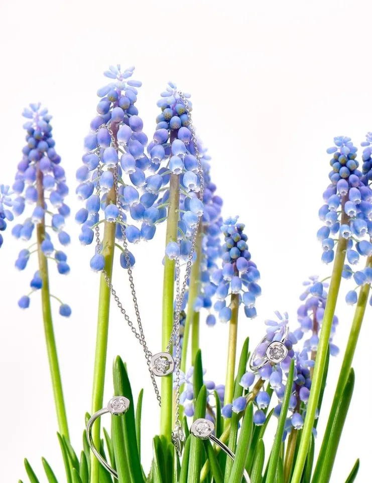 Bague Glamour en argent et oxyde SO OR