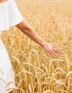 Bague or jaune 375 ‰ SO OR