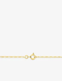 Chaîne maille cheval alternée 1+1 or jaune 375 ‰ 1,4 mm SO OR