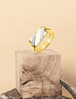 Chevalière fantaisie bicolore or 750 ‰, plateau 8x16 mm SO OR