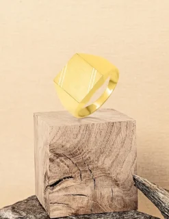 Chevalière massive or jaune 375 ‰, plateau 11x11 mm SO OR