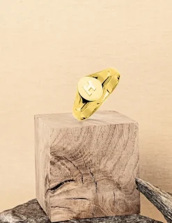 Chevalière or jaune 375 ‰, massive, plateau ovale 6x8 mm SO OR
