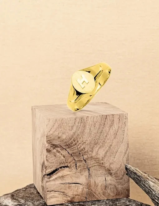 Chevalière or jaune 375 ‰, massive, plateau ovale 6x8 mm SO OR