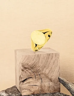 Chevalière or jaune 375 ‰, massive, plateau ovale 9x11 mm SO OR