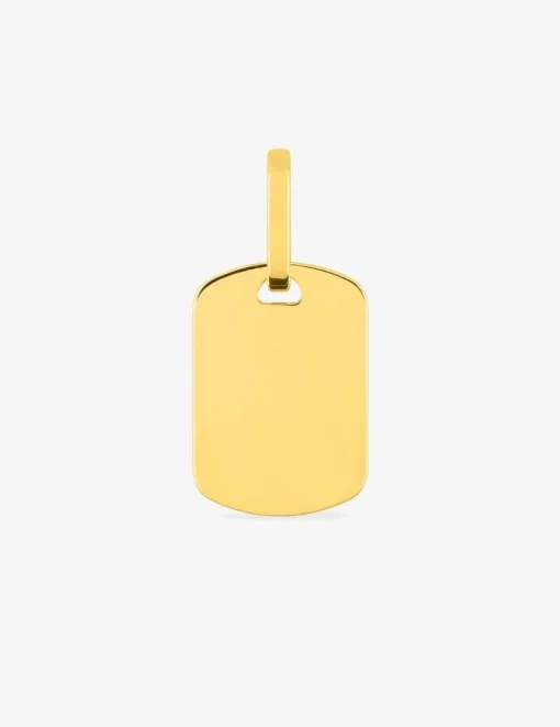 Pendentif plaque G.I 10 x 15 mm or jaune 750‰ SO OR