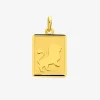 Pendentif rectangle Lion or jaune 750‰ SO OR